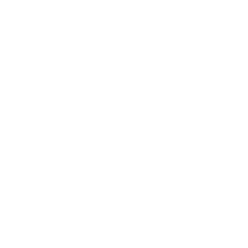 strive copy