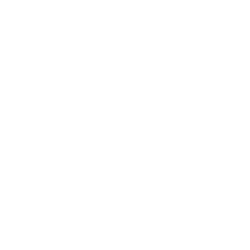 yaeli copy